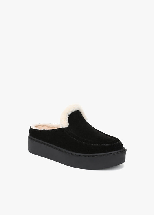 THE SUNNY PLATFORM MULE